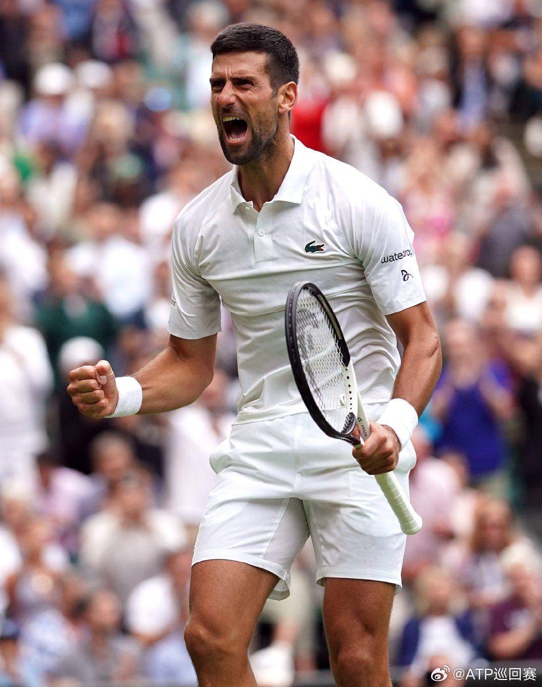 这一决定在 这一决定在