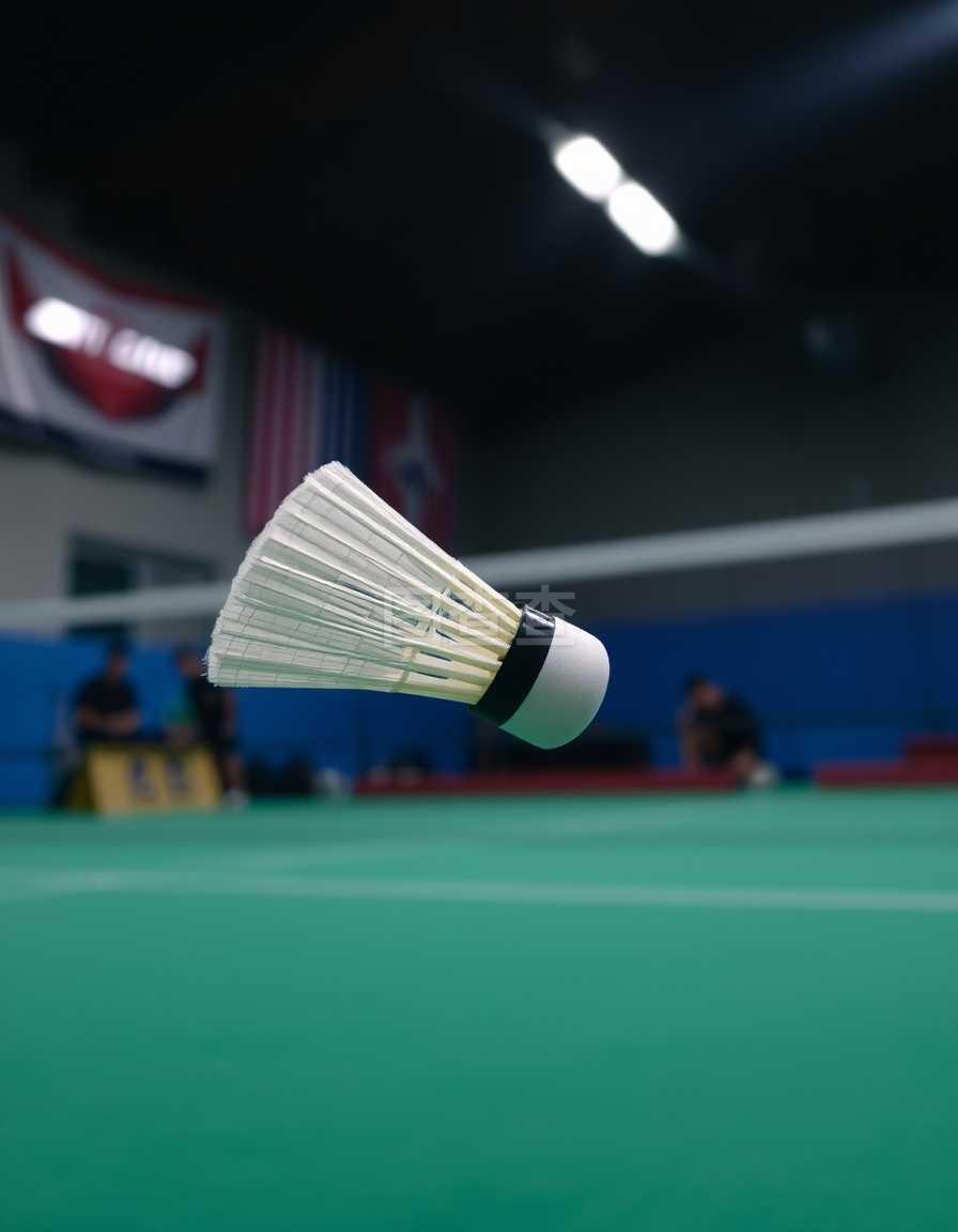 多特在过渡 多特在过渡