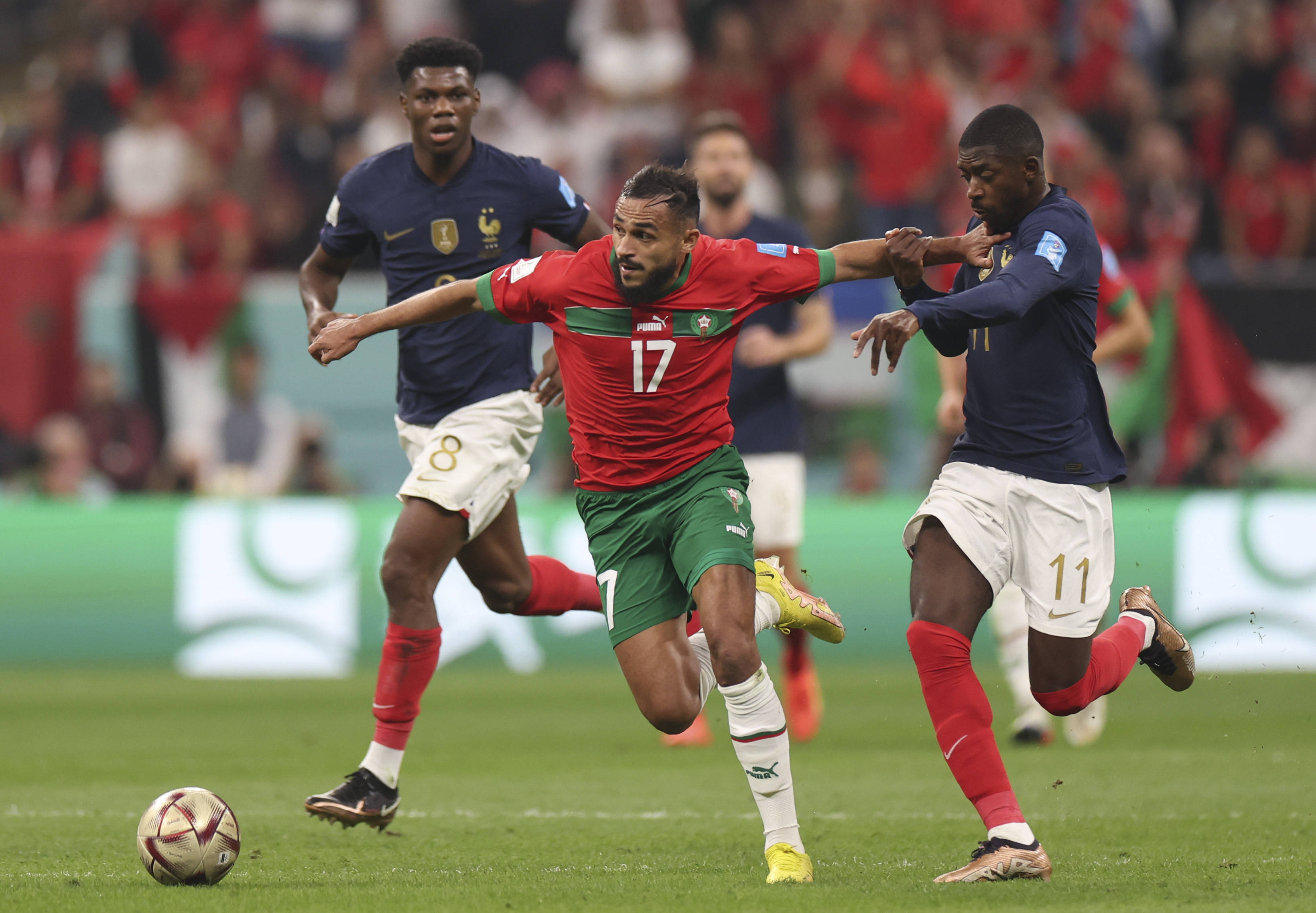 替补待命 替补待命